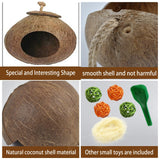 kathson Natural Coconut Shell Bird Nest,Hanging Coco Birds House,Parrots Hide Hut Habitats Decor,Parrot Cage Accessories for Lovebirds Cockatiel Canary Budgies,Feeder Spoon,4 Toy Balls(6 Pcs)