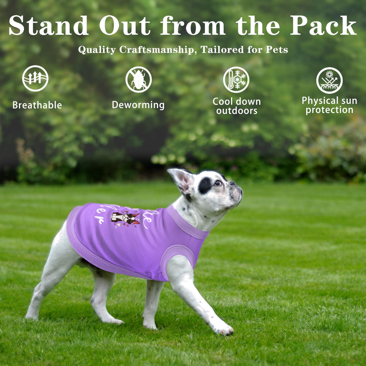 Dog Shirts - Little Lady Killer Heat Transfer Design - Lightweight, Breathable T-Shirts for Small, Medium, Large Dogs - Soft, All-Season Pet Clothes. Provides Sun Protection.Black XL