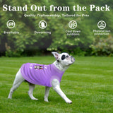 Dog Shirts - Little Lady Killer Heat Transfer Design - Lightweight, Breathable T-Shirts for Small, Medium, Large Dogs - Soft, All-Season Pet Clothes. Provides Sun Protection.Black XL