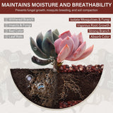 NUPICK 3 lbs Pebbles for Indoor Plants, 1/5 Inch Pea Gravel for Fish Tank, Polished Decorative Rocks for Succulent, Natural River Stones for Vases, Cactus, Landscaping, Bird Bath, Aquarium, Red