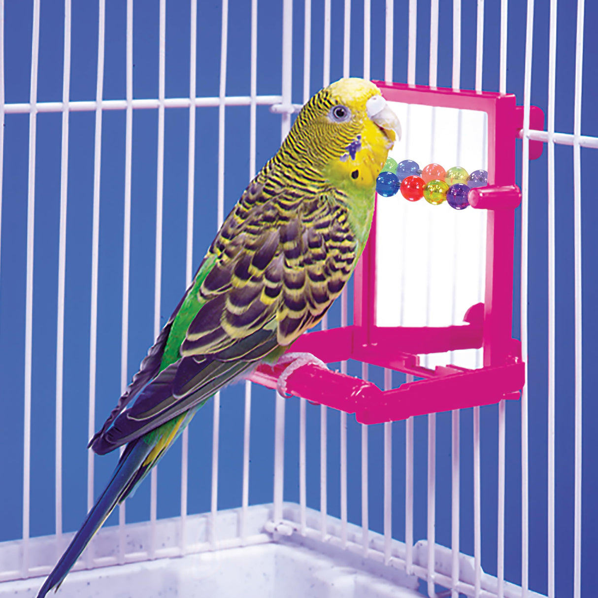 Penn-Plax Bird Life - Landing Perch with Mirror and Beads - Perfect for Parakeets, Finches, and Other Small Birds (BA504)