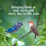 C&S EZ Fill Deluxe Suet and Snak Feeder with Roof & Platform, Suet Feeder for Wild Birds, Holds one 56 ounce suet cake