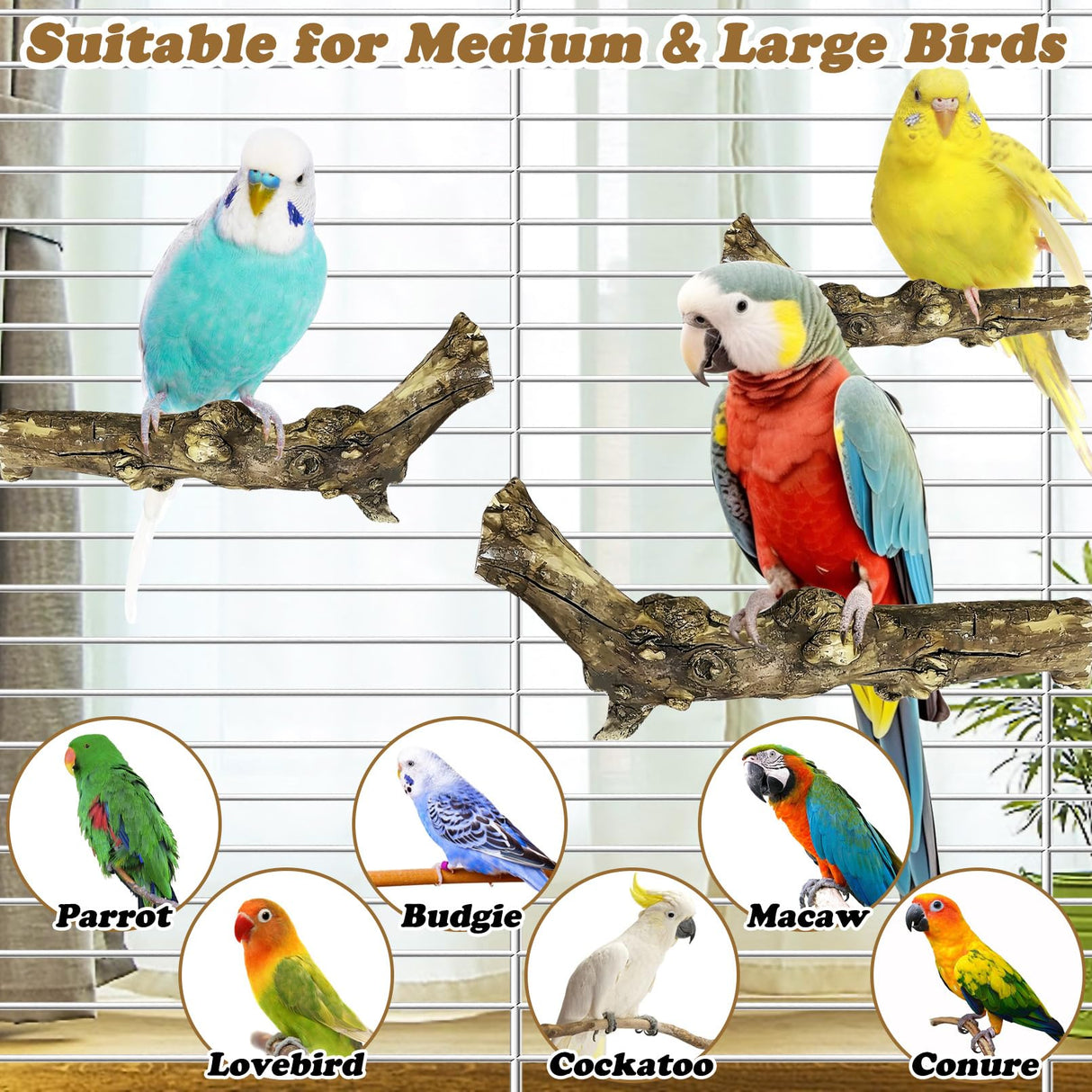 PINVNBY 3 Sizes Natural Bird Perches Wooden Parakeet Perches Bird Perches for Cage Parrot Chewing Stick Paw Grinding Exercise Training Bird Cage Accessories for Budgies Conures Cockatiels Lovebirds