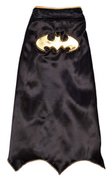 DC Comics Superheroes: Batgirl Pet Cape for Dogs or Cats by Rubies, Large