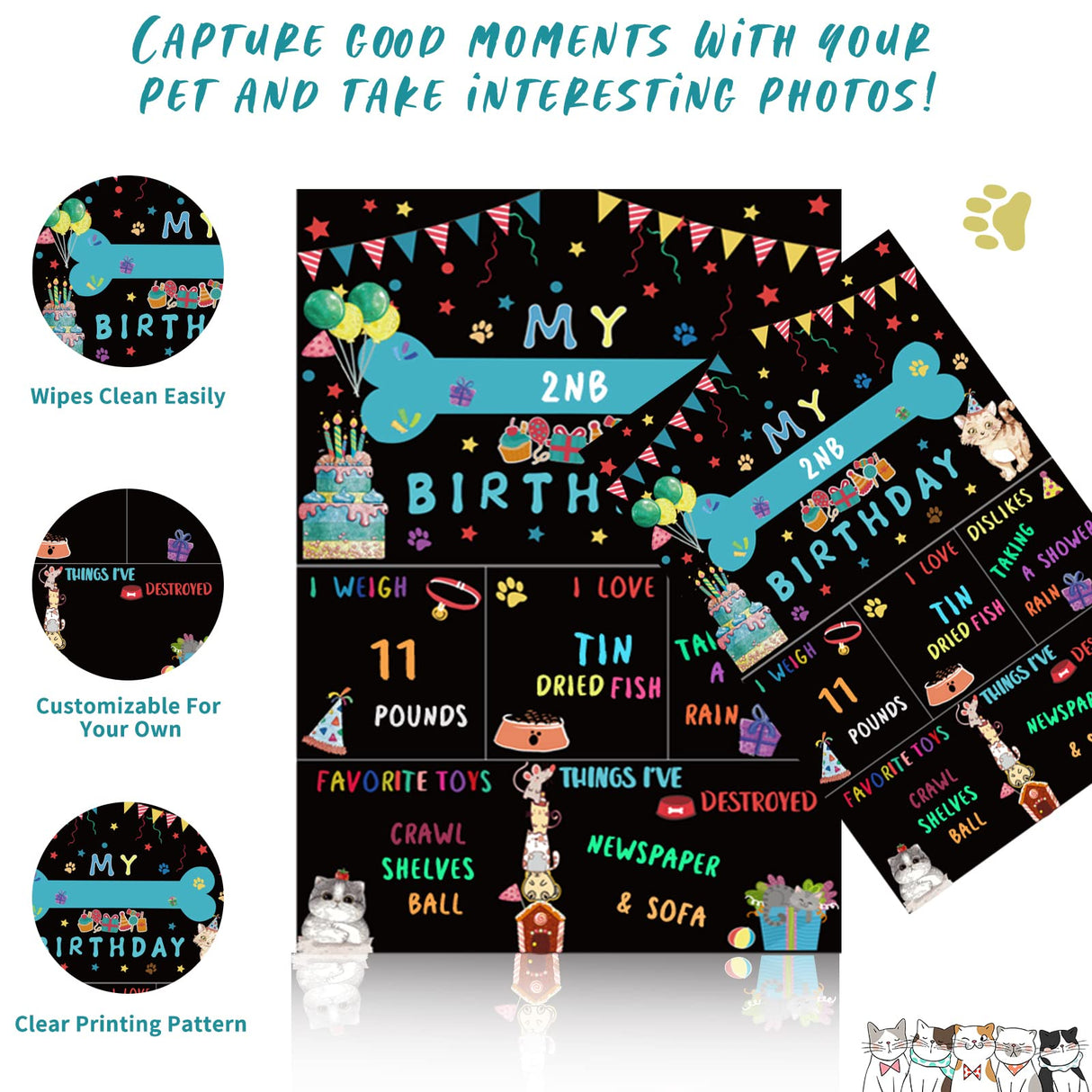 Cat Kitten Birthday Bandanas Cat Birthdays Party Supplies Party Hat Boy with Cat Birthdays Banner Balloons Meow Letter Foil Balloons for Boy Cats Kitten Decorations