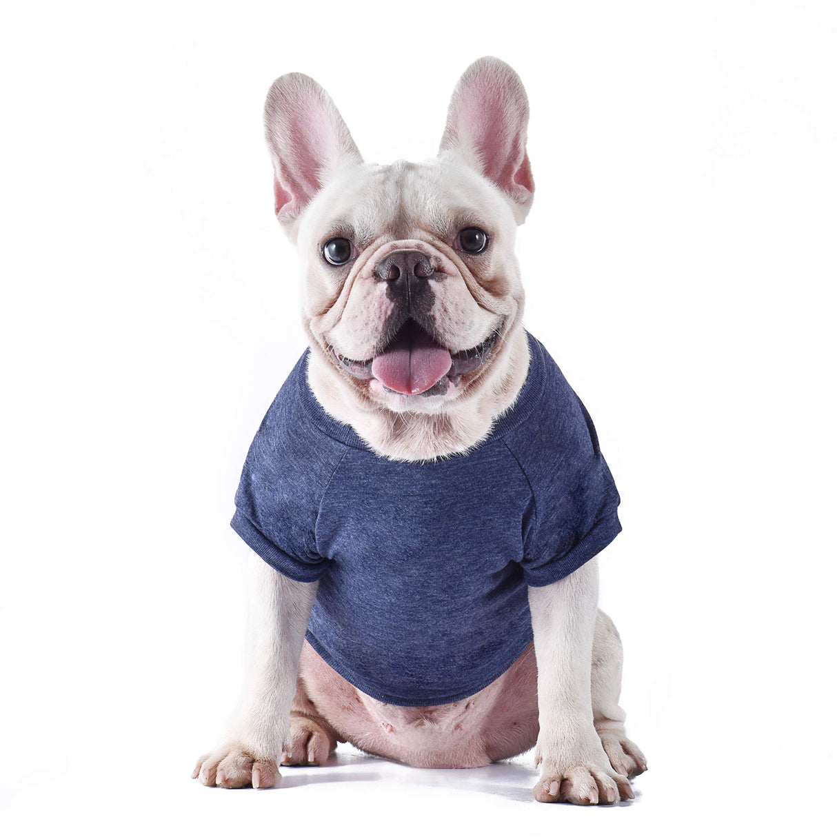 Star Wars for Pets This is How I Roll Dog Tee | Star Wars Dog Shirt for Large Dogs | Size XX-Large | Soft, Cute, and Comfortable Dog Clothing, Cute Dog Clothes