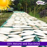 Birds LOVE 2 pc 7.5–8″ Sun-Dried Natural Cuttlebone Kit | 100 % Pure Calcium Supplement for Birds, Tortoises, Snails & Crabs | Beak & Shell Health with Metal Holder