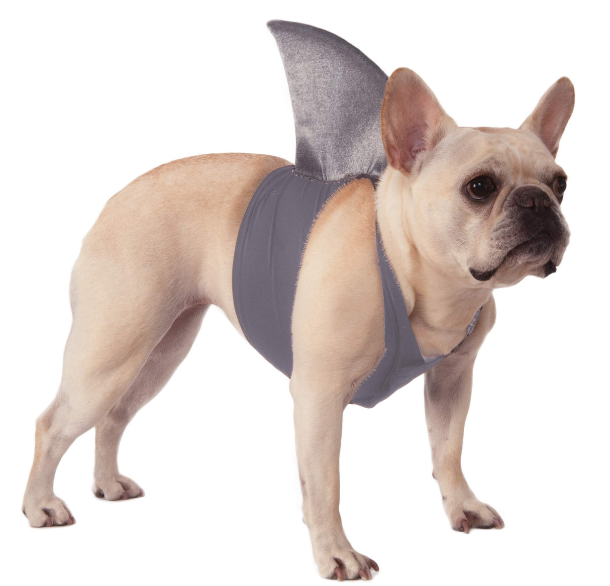 Rubies Shark Fin Pet Costume for Dogs or Cats, M/L