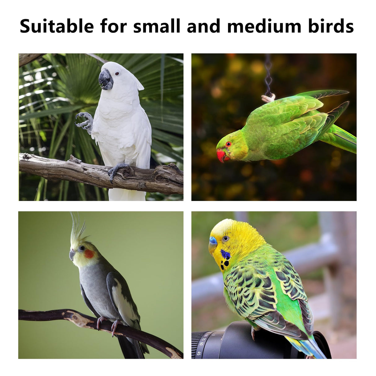 Suction Cup Bird Perch,Natural Wood Parrot Window/Bath/Car/Travel/Shower Perches Stand Portable Parakeet Grinding Stick Training Toys for Small and Medium Birds(Twist Grain)