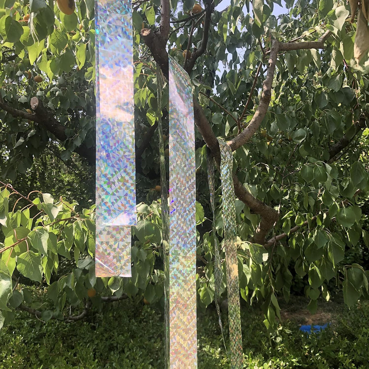 Bird Scare Ribbon Double Sided Holographic Reflective Ribbon Tape to Keep Away Woodpecker, Pigeon, Hawks, Grackles Bird (2 Pack, 0.9in x 260ft)