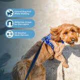 Voyager No Pull Dog Harness for Large Dogs, Dual Leash Attachments, Adjustable Soft but Strong Pet Harness with 3M Reflective Technology, Royal Blue Lattice Nylon, M (Chest: 20-25")