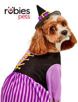 Rubies Witch Pet Costume for Dogs or Cats, Medium