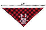 2 Pack Dog Christmas Bandanas for Puppy Cat,Plaid Christmas Scarf for Dogs