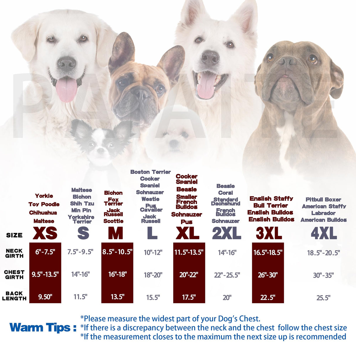 Discover Cozy Sleeveless Canine Wear: Soft, Lightweight, and Breathable Cotton Dog Shirt Featuring Heart and Paw Graphics. Vest Tank Top is Ideal for Small, Medium, and Large Breeds Black XS