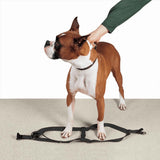 Guardian Gear 2 Step Pet Harness
