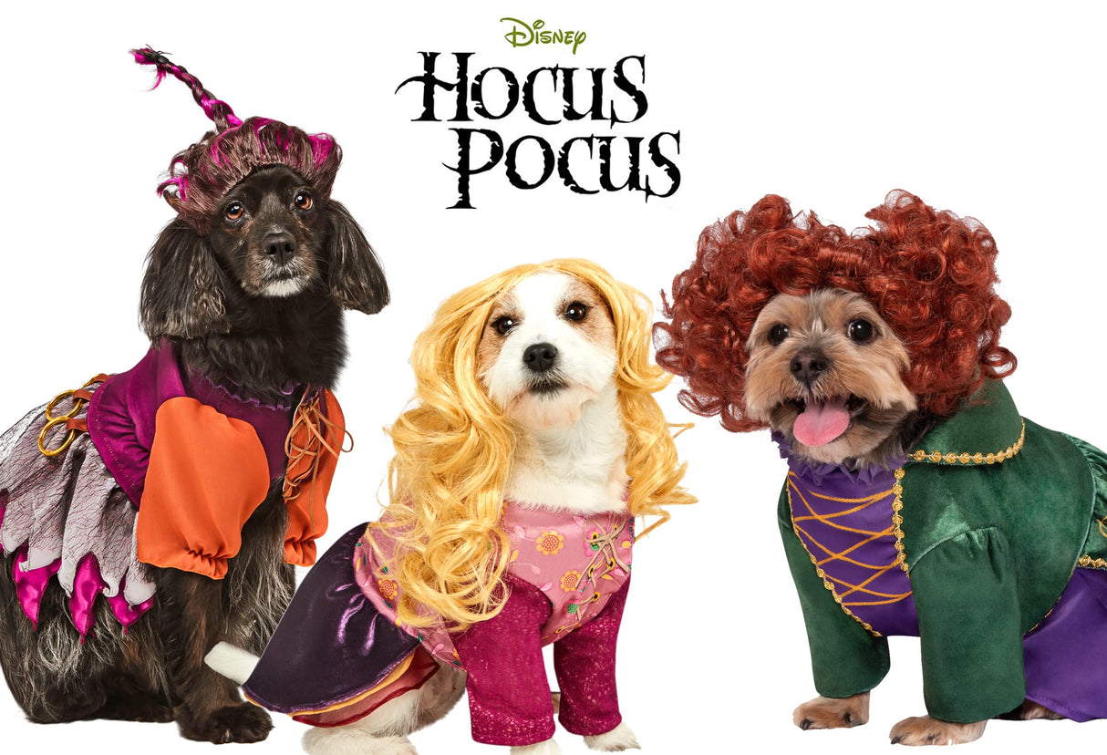 Rubies Disney Hocus Pocus: Winifred Sanderson Pet Costume for For Dogs or Cats, Small