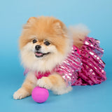Doggy Parton Ruffle Sweater Skirt Set for Dogs - Small, Pink