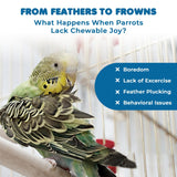 SunGrow Parrot Swing and Perch Bundle, Keep Birds from Hatching Plans for World Domination with Joyful Colorful Items for Love Birds, Conures, Cockatiels, Finches, Parakeets, 12 Pieces