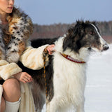 Pets First Tough Leather Pet Collar NFL Pittsburgh Steelers Premium Dog Collar, Limited Edition, Size Large. Best & Strongest Heavy-Duty Dog Collar!, Large (20-29" Long & 1" Wide) (PIT-3081-LG)