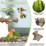 PINVNBY 3Pcs Bird Perches for Cage, Nature Wood Prickly Parrot Stand Toy Paw Grinding Stick for Small Medium Birds Parrot Parakeet Cockatiel Conure Cage Accessory