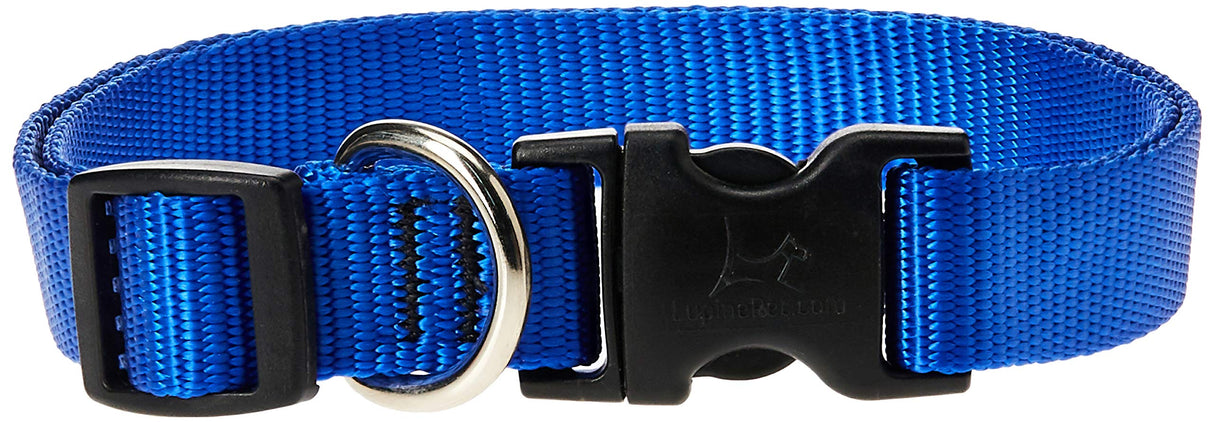 LupinePet Basics 3/4" Blue 15-25" Adjustable Collar for Large Dogs