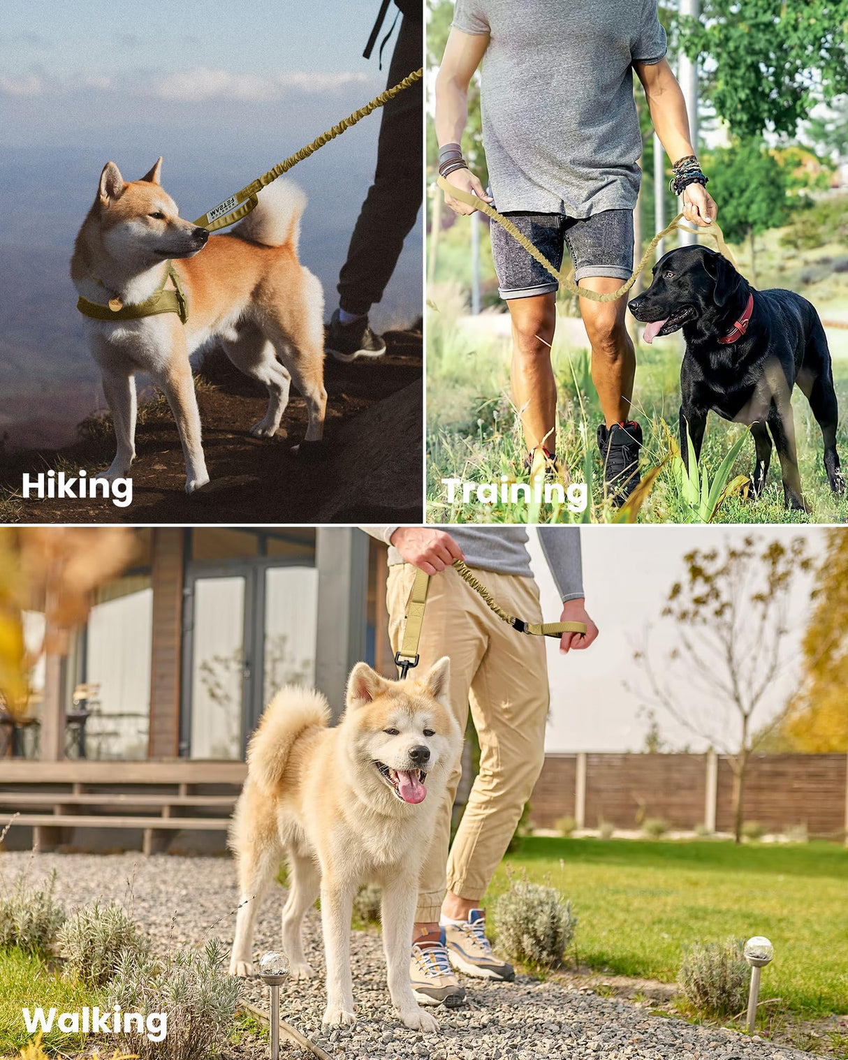 OutdoorMaster Bungee Dog Leash, Heavy Duty Dog Leash with Shock Absorption, 2 Padded Handles Training Leash, Improved Dog Safety and Comfort - Khaki Upgraded, 4 FT