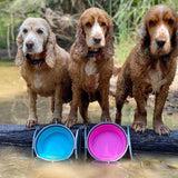 Loving Pets Bella Roma Collapsible Dog Bowls - Silicone Dog Bowls, Foldable Bowl, Puppy Essentials & Hiking Pet Supplies Great for Home & Travel (Blue, Small)