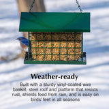 C&S EZ Fill Deluxe Suet and Snak Feeder with Roof & Platform, Suet Feeder for Wild Birds, Holds one 56 ounce suet cake