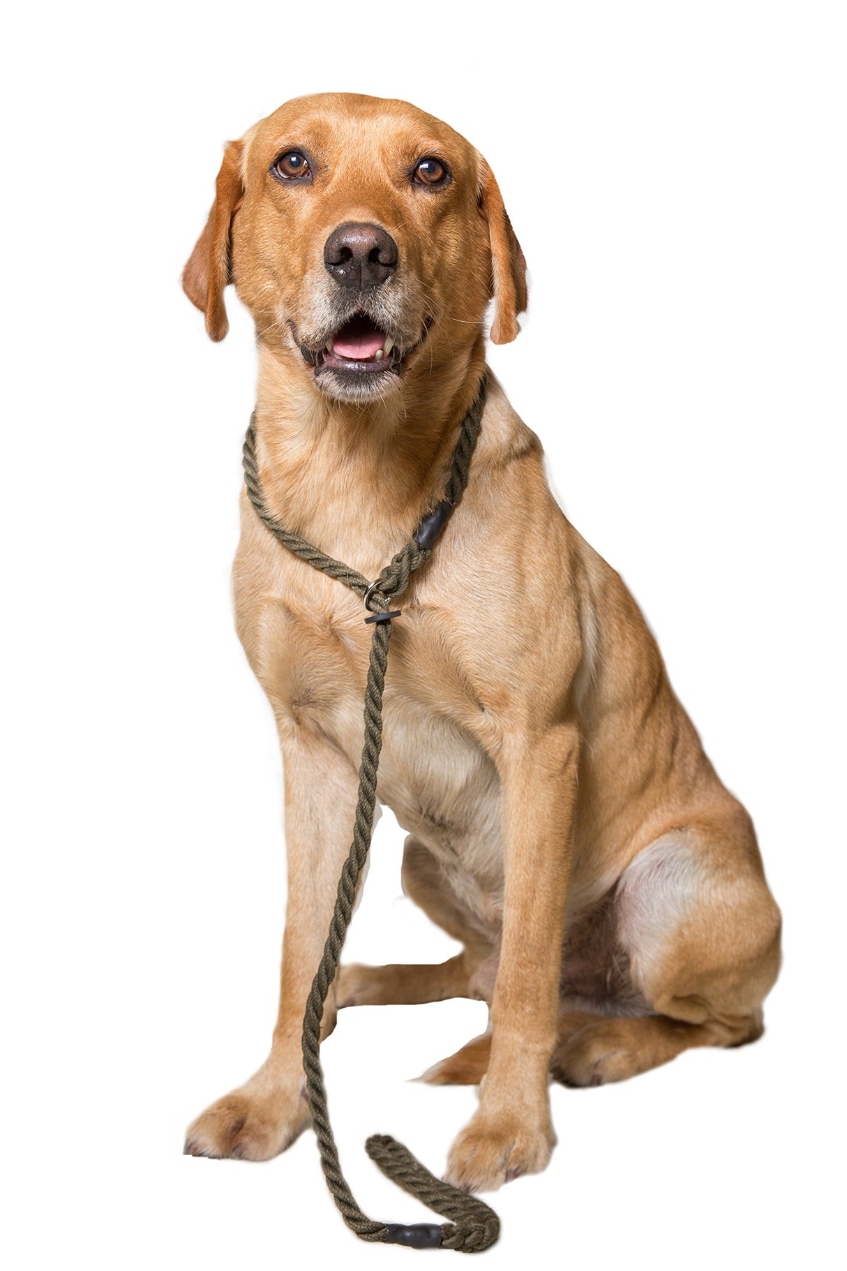 Dog & Field Deluxe Gundog Slip Leash - Olive Green. Soft Spliced Marine Rope Slip Leash for Dogs with Rubber Stopper, Easy to Slip On, No Collar Or Harness Needed. Training Lead for Dogs, One Size