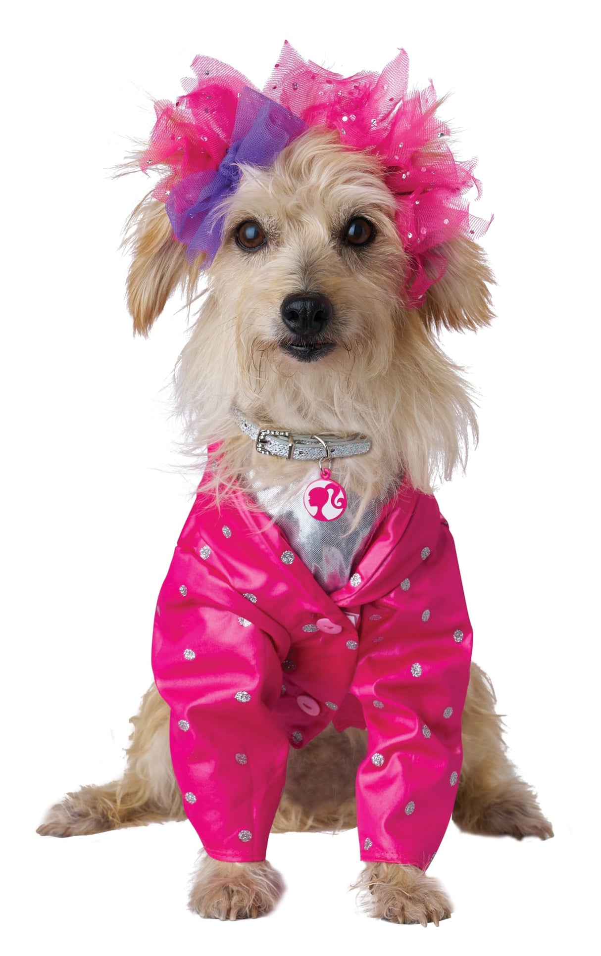 Barbie and The Rockers Dog Costume, X-Small for Teacup Sized Dogs