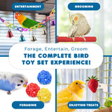 SunGrow Parrot Swing and Perch Bundle, Keep Birds from Hatching Plans for World Domination with Joyful Colorful Items for Love Birds, Conures, Cockatiels, Finches, Parakeets, 12 Pieces