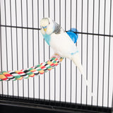 PENN-PLAX Bird Life Multicolored and Flexible Rope Perch – Create Fun, Colorful Curves and Bends – Great for Small and Medium Birds – 21” Long