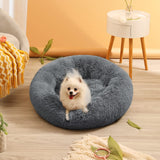 CEVICOLZE Small Cat Bed for Indoor Cats, Self-Warming Donut Kitty Bed for Small Cats Keeping Warm, Washable Pet Bed with Anti Slip Base, 23‘’ Darkgrey