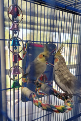 LOPERDEVE 7" Bird Mirror with Rope Perch Bird Toys Swing, Comfy Perch for Greys Amazons Parakeet Cockatiel Conure Lovebirds Finch Canaries