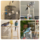 PINVNBY Bird Playground, Wood Parrot Play Gym Stand Perch Bird Cage Accessories for Small and Medium Parakeet Cockatiel Conure Love Birds Finch
