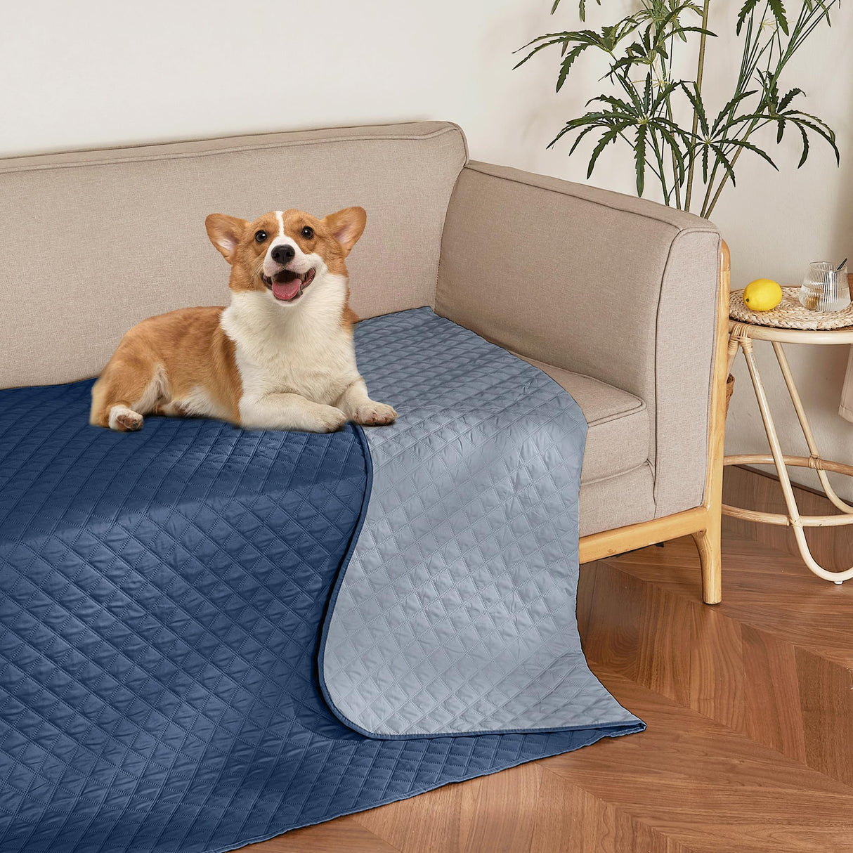 NICETOWN Waterproof Throw Blanket for Dogs & Indoor Cats, Washable Pet Furniture Floor Protector for Medium Large Dog Reversible Couch Cover, 52" Wide x 82" Long, 1 Panel, Navy/Stone Blue