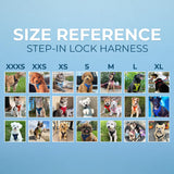 Voyager Step-in Pet Harness - All Weather Mesh, Adjustable Step in Harness for Cats and Dogs by Best Pet Supplies - Purple/Black Trim, M