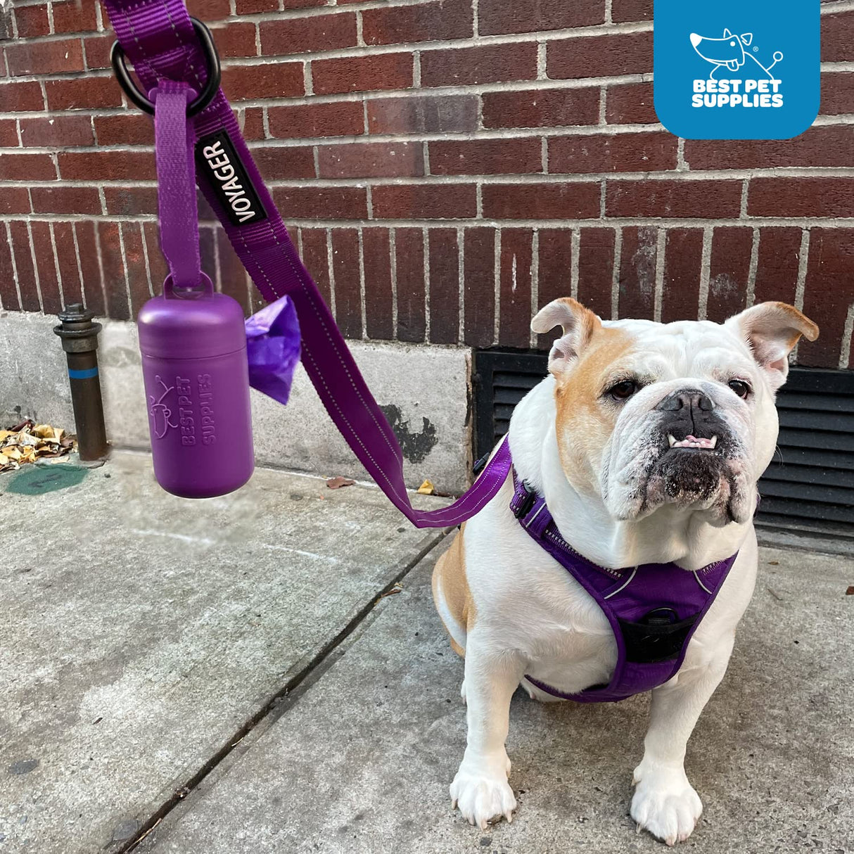 Best Pet Supplies Dog Poop Bag Holder Leash Attachment with 30 Bags, Reusable Dispenser for Travel, Walking, Park, and Outdoor Use, Durable with Clip-On - Purple, Pack of 2