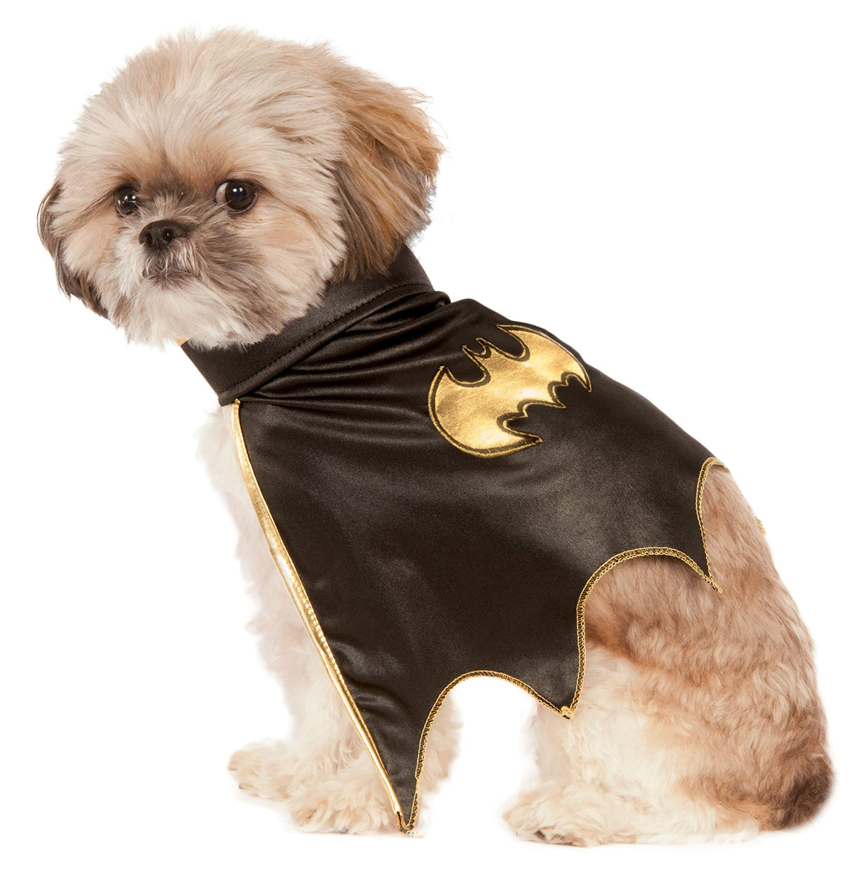 DC Comics Superheroes: Batgirl Pet Cape for Dogs or Cats by Rubies, Large