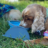 Loving Pets Bella Roma Collapsible Dog Bowls - Silicone Dog Bowls, Foldable Bowl, Puppy Essentials & Hiking Pet Supplies Great for Home & Travel (Blue, Small)
