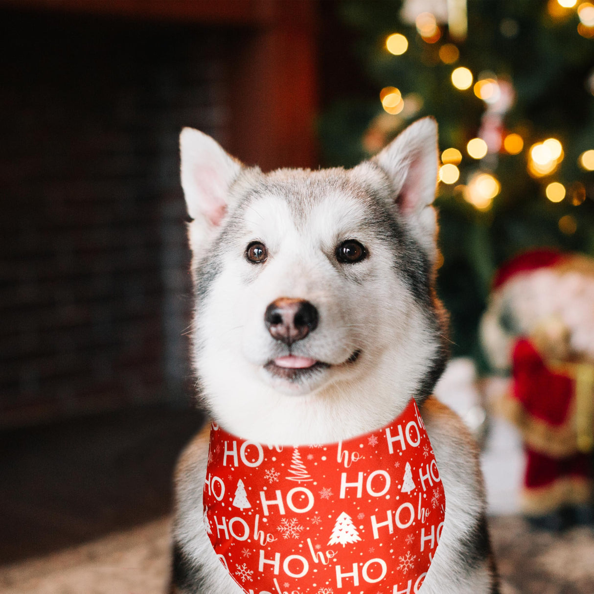 2 Pack Christmas Dog Bandana, Holiday Cat Bandana Flower and Christmas Tree for Small Medium Large Dogs Puppies Pets