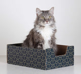 Purrfect Cat Box Modern Cat Box Lounger with Peek-a-Boo Cutout | Premium Corrugated Cardboard Cat Bed for Sleeping and Relaxation | Interactive Board Box for Indoor Kittens and Small Pets, Blue