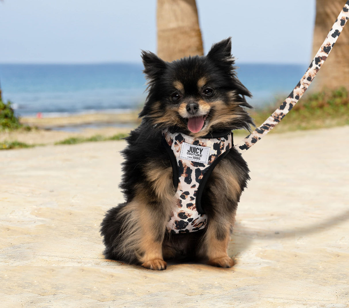 Juicy Couture Leopard Print Dog Harness and Leash Set – Adjustable Puppy Harness with Puppy Leash & Mesh Padding Dog Harness, Large