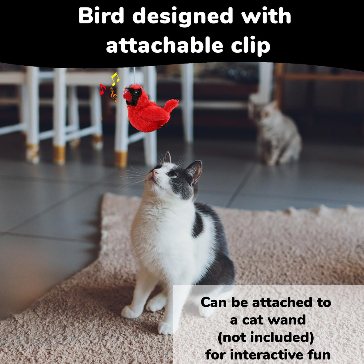 SPOT Song Birds Cat Toy- Touch Activated Singing Catnip Toy Mimics Real Bird Songs, Battery Operated Toy Satisfies Cat's Natural Urge to Hunt - One 5" Song Bird, Assorted Colors