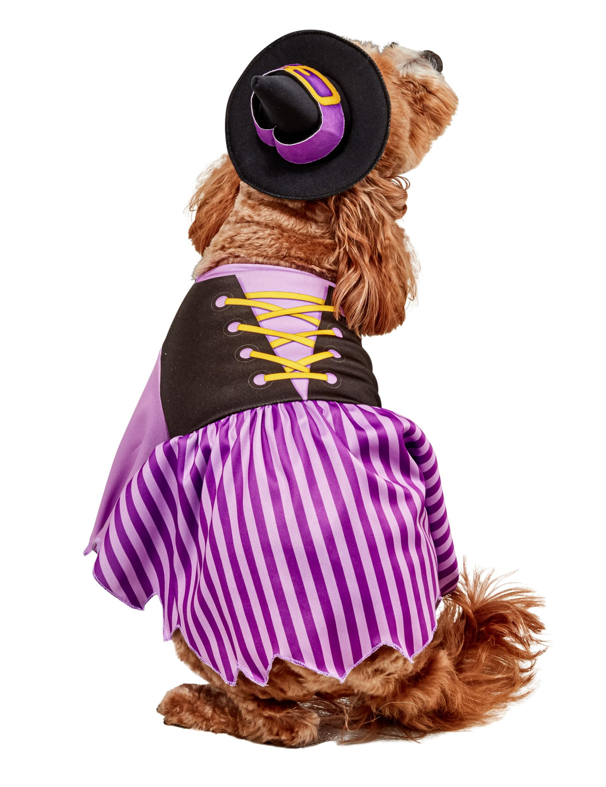 Rubies Witch Pet Costume for Dogs or Cats, Medium