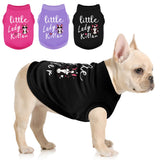 Dog Shirts - Little Lady Killer Heat Transfer Design - Lightweight, Breathable T-Shirts for Small, Medium, Large Dogs - Soft, All-Season Pet Clothes. Provides Sun Protection.Black XL