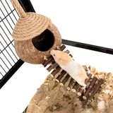 andwe Coconut Bird Nest Hut with Ladder for Parrots Parakeet Conures Cockatiel - Small Animals House Pet Cage Habitats Decor