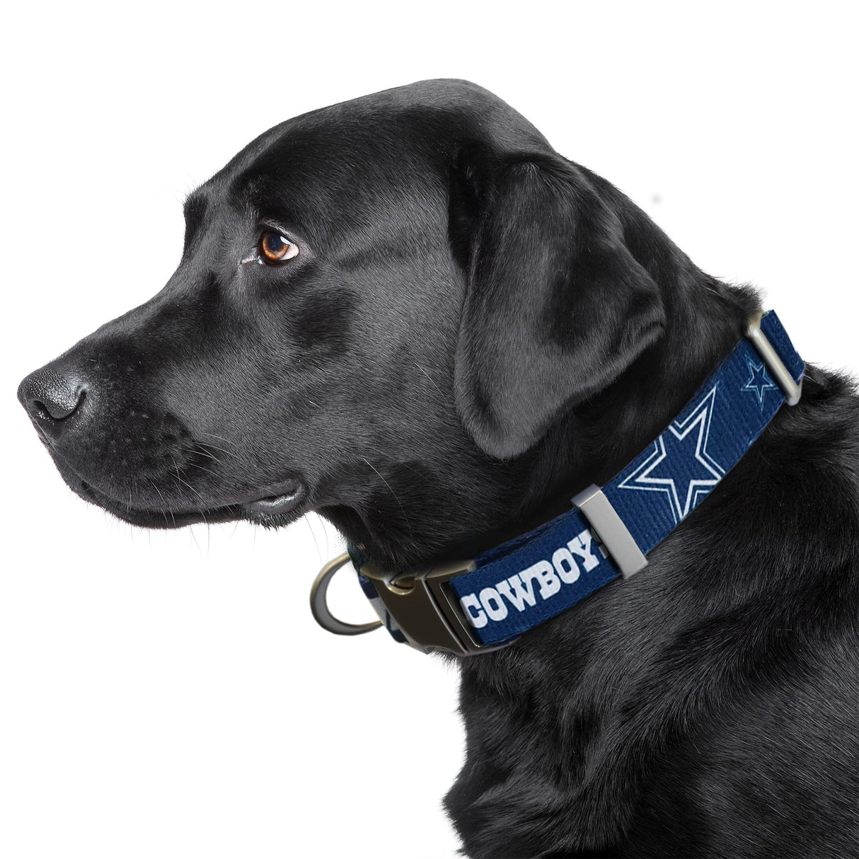 Littlearth NFL Dallas Cowboys Pet Premium Collar, Team Color, Medium