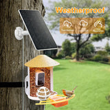 Solar Panel for Bird Feeder Camera, 3W Continuously Power Supply for Your Bird Feeder Camera, Type-C Plug