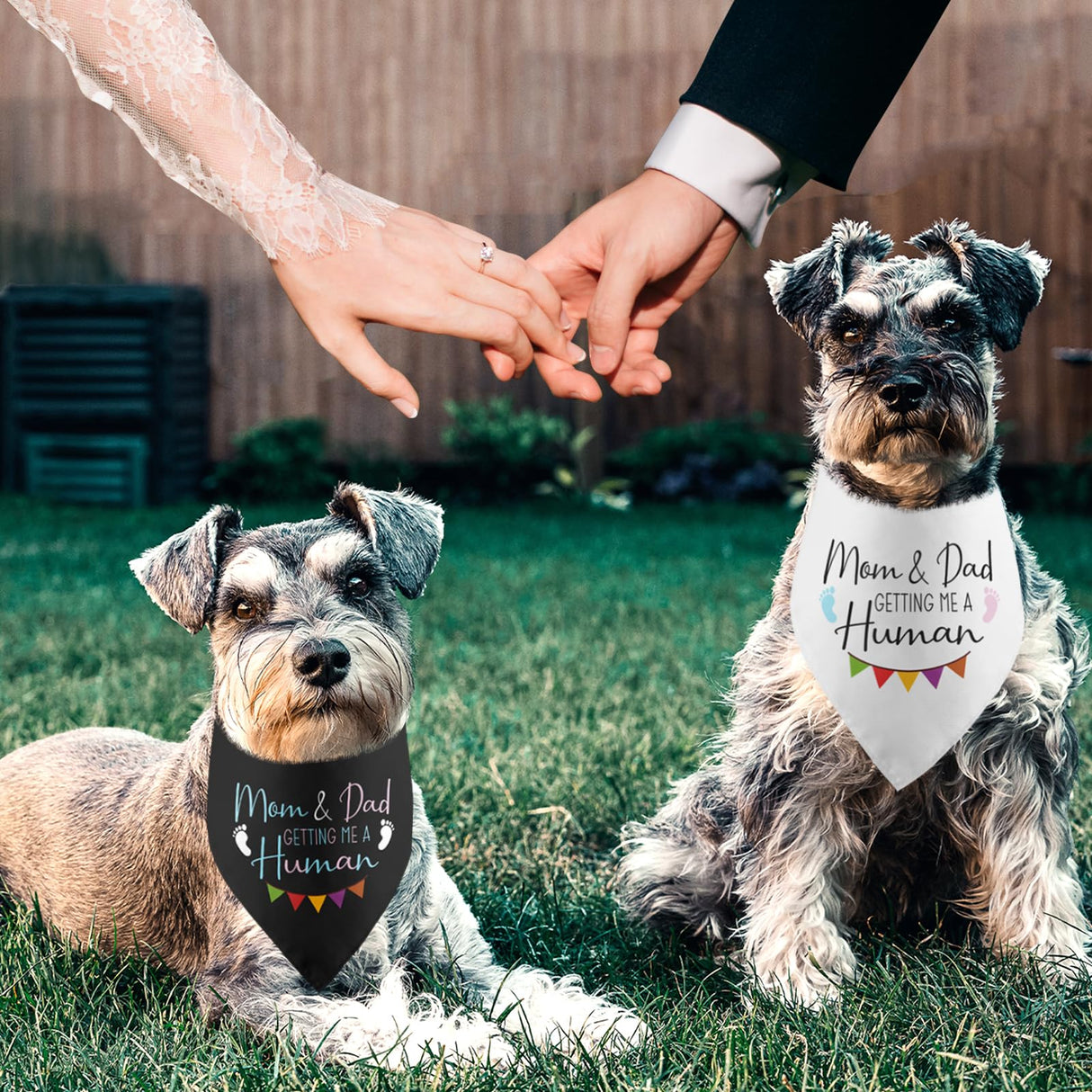 Mom & Dad are Getting Me a Human Pregnancy Announcement Dog Bandana Gender Reveal Baby Announcement Photos Prop Pet Scarf Accessories for Dog Lovers Pack of 2